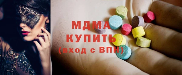 шишки Дубна