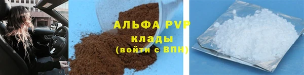 ГАЛЛЮЦИНОГЕННЫЕ ГРИБЫ Дегтярск