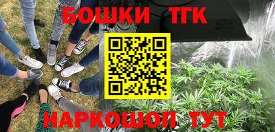 ГАЛЛЮЦИНОГЕННЫЕ ГРИБЫ Гусев