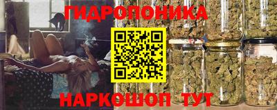 ГАЛЛЮЦИНОГЕННЫЕ ГРИБЫ Гусев