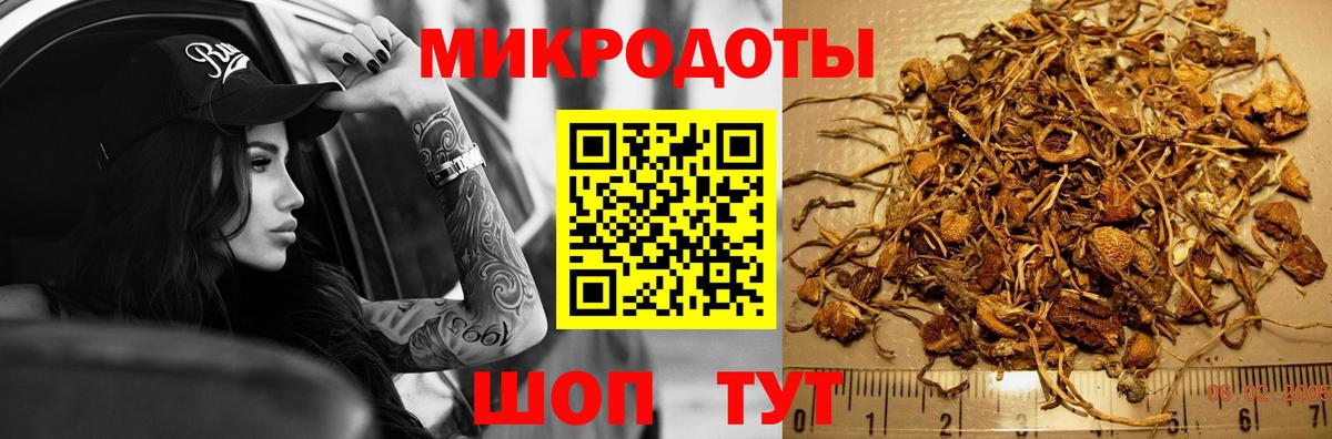 Псилоцибиновые грибы мухоморы  Галлюциногенные грибы MAGIC MUSHROOMS  купить закладку  Вход с VPN  Саянск 